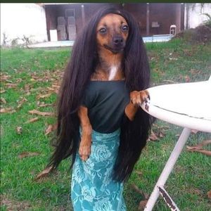 Meet your Posher, Danielle